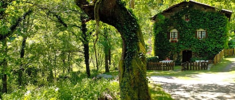 A rustic stone house with ivy-covered walls, a wooden fence, and a paved path leading to it.