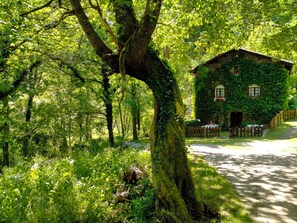 Ein rustikales Steinhaus mit efeuüberwucherten Wänden, einem Holzzaun und einem gepflasterten Weg davor.