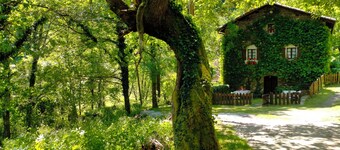 Fairytale Cottage in the Woods (pet-friendly)