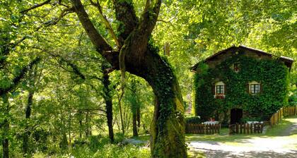 Fairytale Cottage in the Woods (pet-friendly)