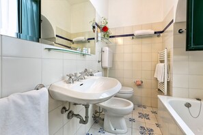 Shower, hair dryer, bidet, towels
