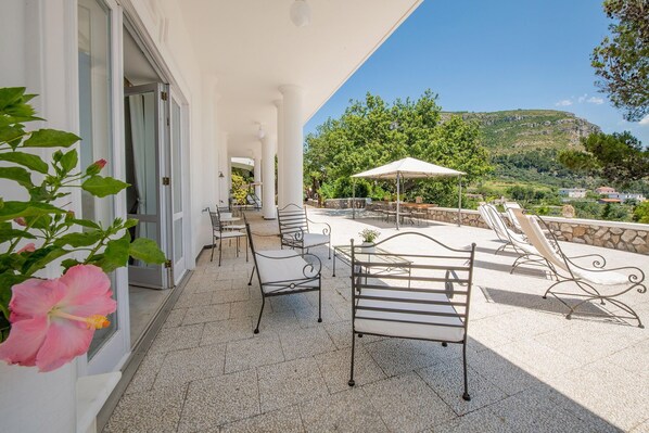 Terras