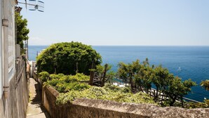 A coastal view with a stone wall, a large tree, and a clear blue sea.