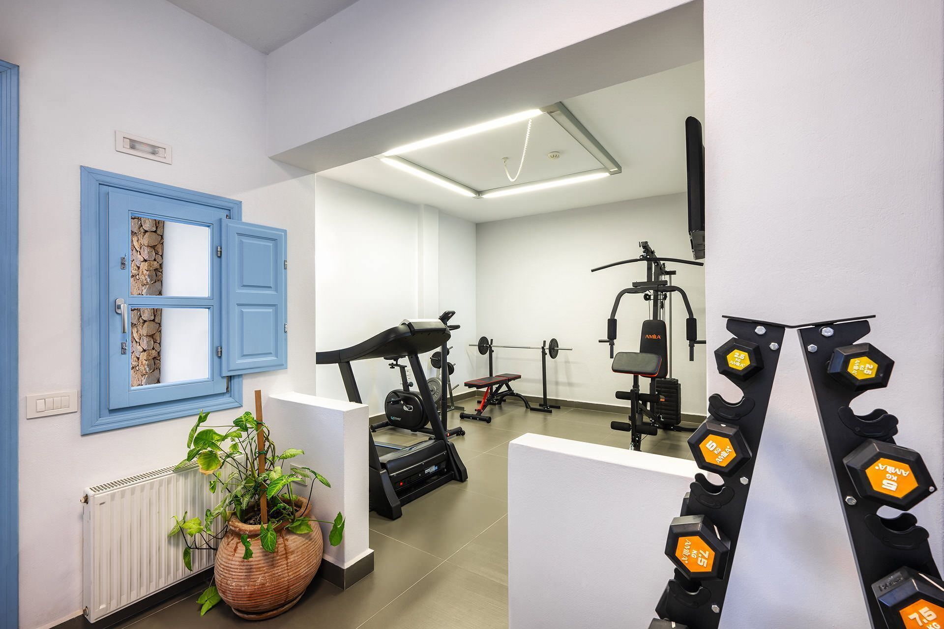 Une salle de sport équipée de matériel d’exercice, avec une porte bleue et une plante en pot.