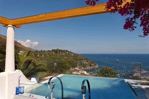 Una piscina infinita con vistas al mar y a una ladera.