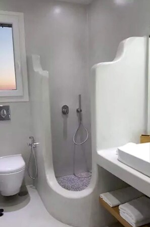 Shower, hair dryer
