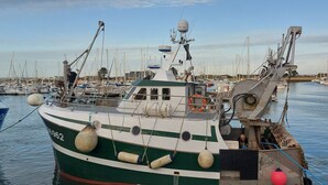 Un barco pesquero amarrado en un puerto deportivo con varios otros barcos, una grúa y cielo despejado.
