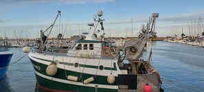 Marina - Apartment overlooking the port of Saint Vaast la Hougue (Saint-Vaast-la-Hougue)