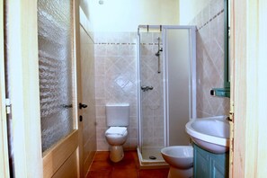 Shower, hair dryer, bidet, towels