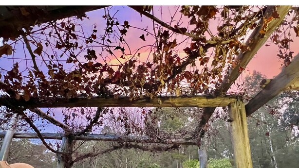 Eine Pergola mit Weinreben, ein Backofen aus Ziegeln und ein Garten mit Gras und Bäumen.