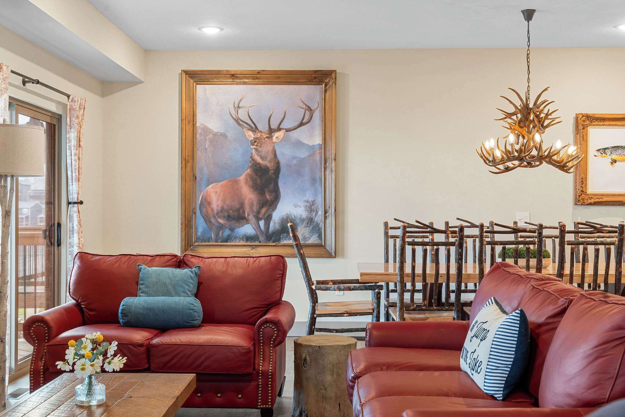 TV, fireplace, books