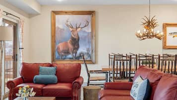 TV, fireplace, books