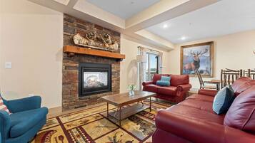 Televisión, chimenea y libros