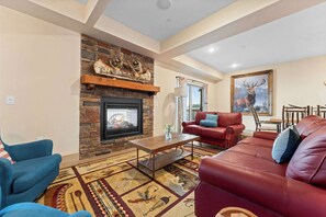 TV, fireplace, books