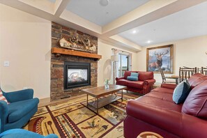 Televisión, chimenea y libros 