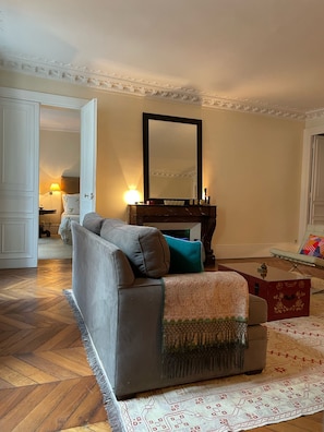 TV connectée, cheminée, livres, chaßne hi-fi