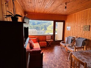 TV