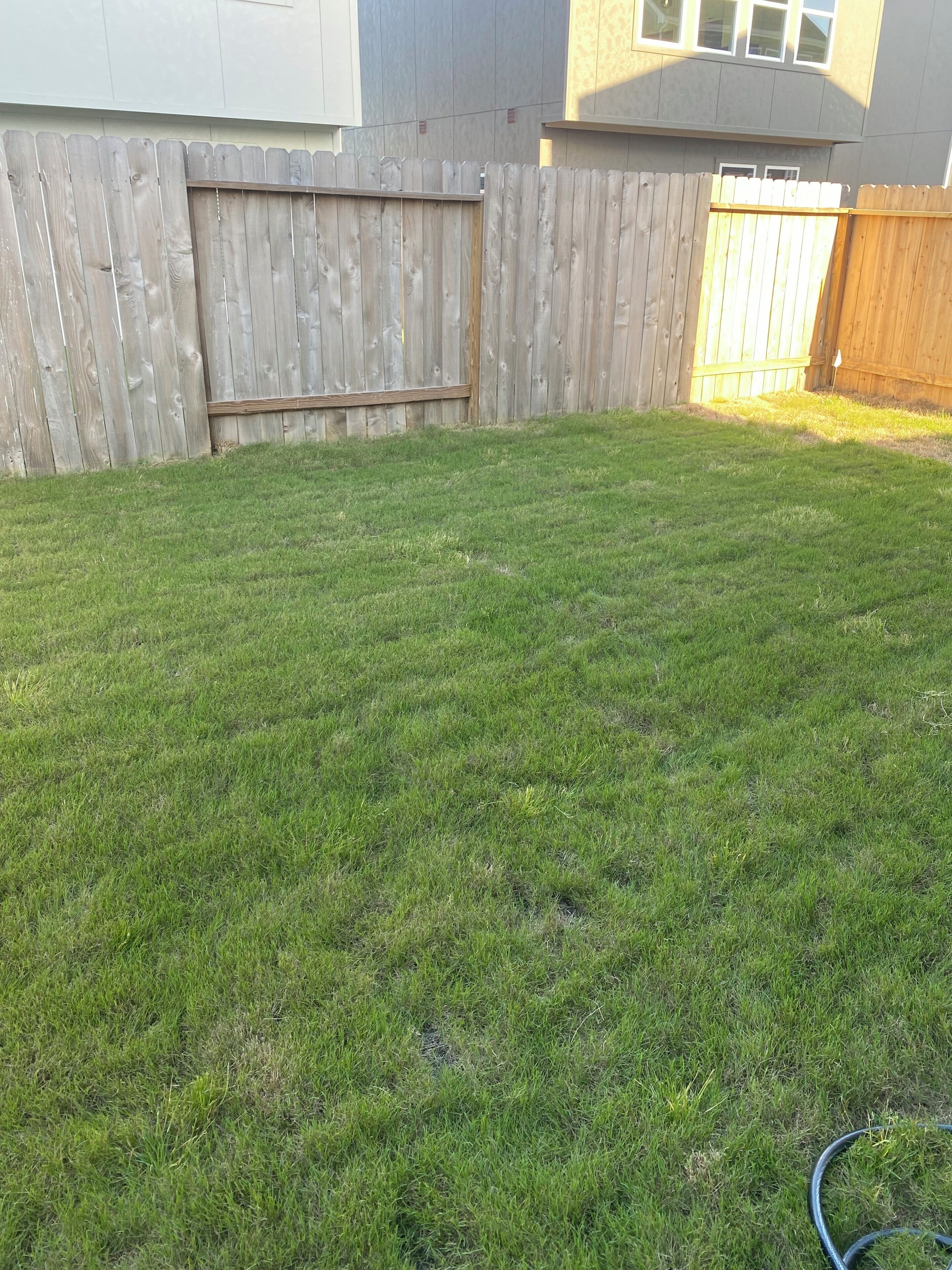 Ein gepflegter Garten mit Rasen, einem Holzzaun und einem sichtbaren Gartenschlauch.