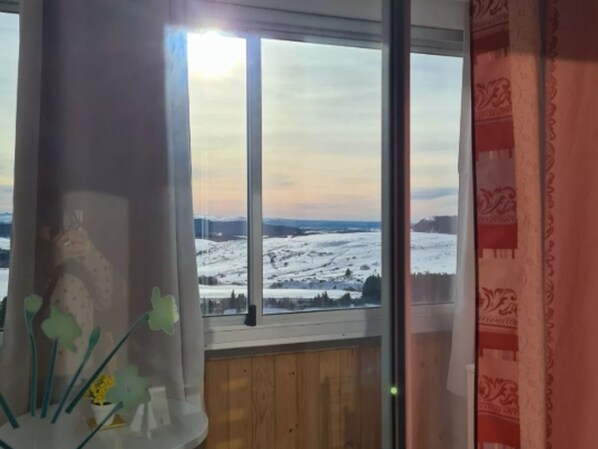 A room with a large window, wooden paneling, and a view of a snowy landscape.