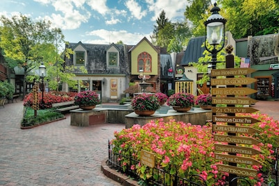 Prime Location・Pet Friendly・Pool・Grill・Sleeps 8