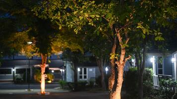 A tree with a well-lit base, surrounded by a curb and plants, in a parking lot at night.