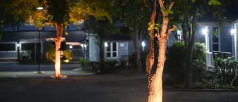 Un albero illuminato alla base, circondato da una bordura e piante, in un parcheggio di notte.