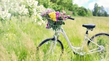 A bicycle with a basket containing flowers, parked in a grassy field.