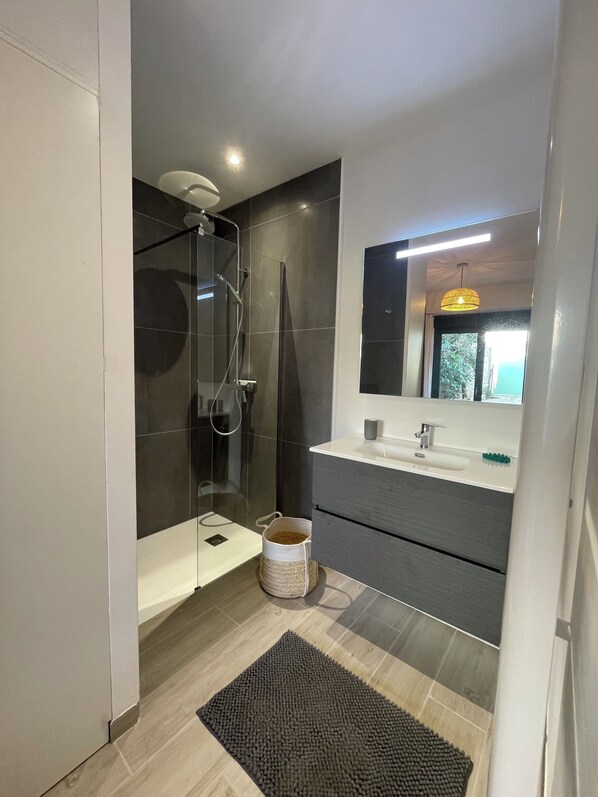 Douche, séchoir à cheveux, papier de toilette