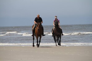 Am Strand
