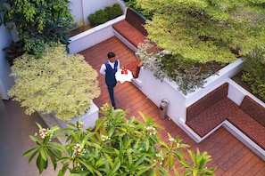 Vista al jardín