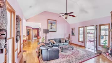 TV connectée, cheminée, lecteur de DVD, livres