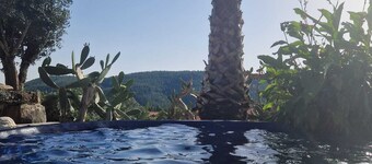 Stylish villa with pool, close to Fragas sao simao and many other attractions