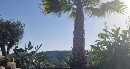 Stylish villa with pool, close to Fragas sao simao and many other attractions
