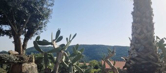 Stylish villa with pool, close to Fragas sao simao and many other attractions