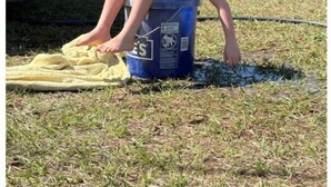Un niño sentado en un balde azul al aire libre, con una casa al fondo.
