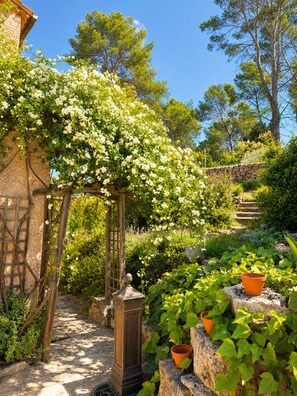 A garden with a pergola covered in white flowers, a stone wall, and a statue. - NEW Spacious Villa  Pool Peaceful  8 Guests  Verdon, Provençal Villages & Sea (Draguignan)