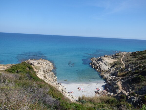 Camastros y toallas de playa 