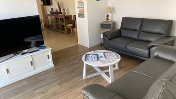 Télévision, lecteur de DVD, livres, chaßne hi-fi