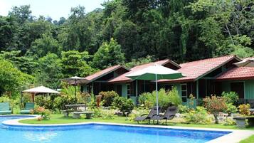A pool area with lounge chairs and umbrellas, surrounded by lush greenery and a forested backdrop.