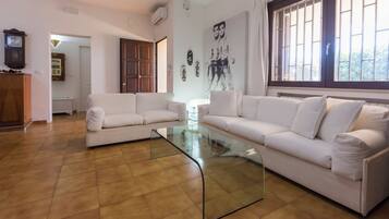 TV connectée, cheminée, livres