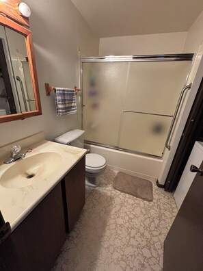 Une salle de bain avec un lavabo, des toilettes et une douche.