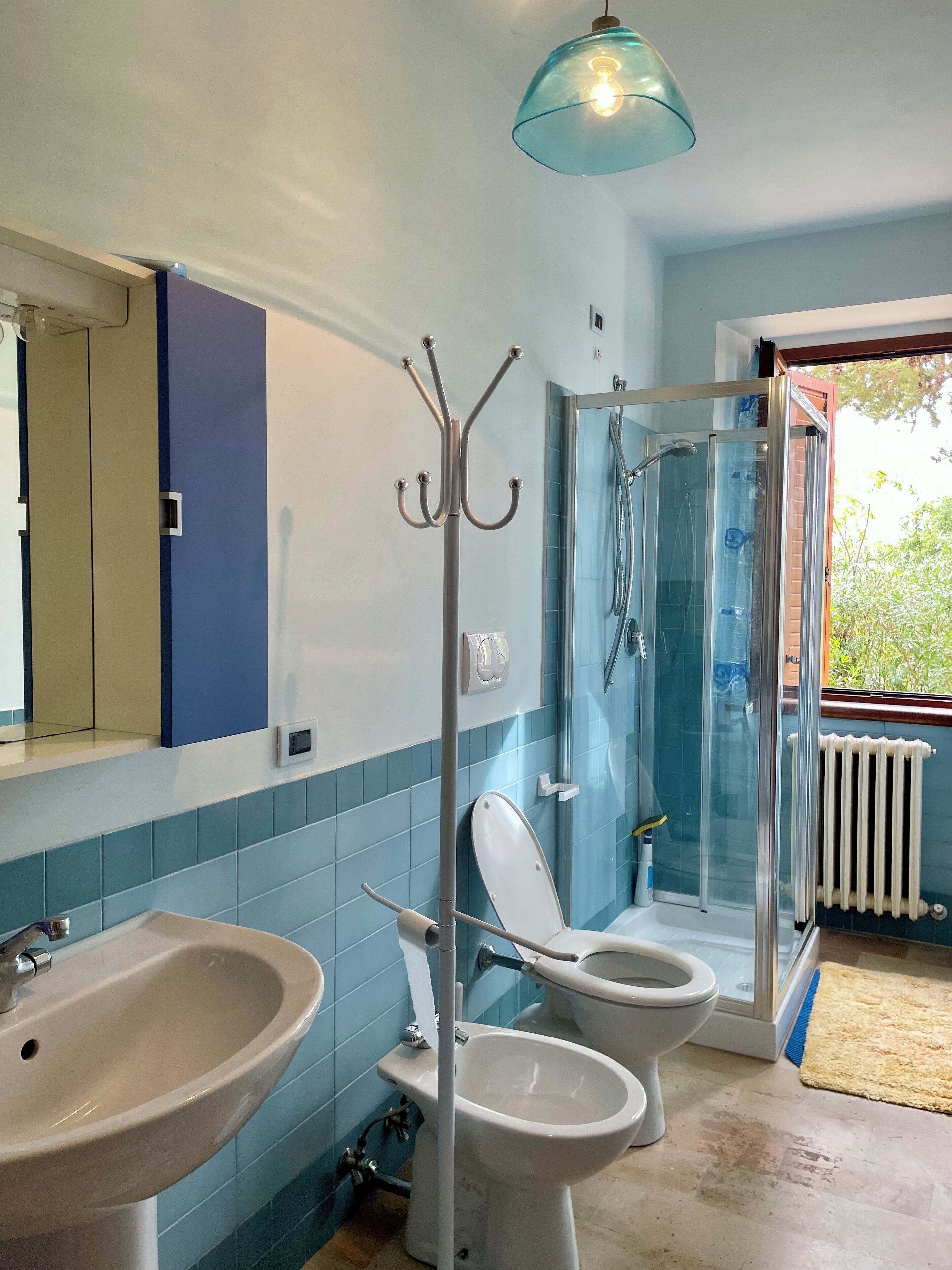 Shower, hair dryer, bidet, towels