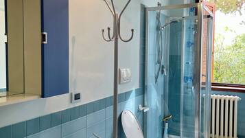 Shower, hair dryer, bidet, towels