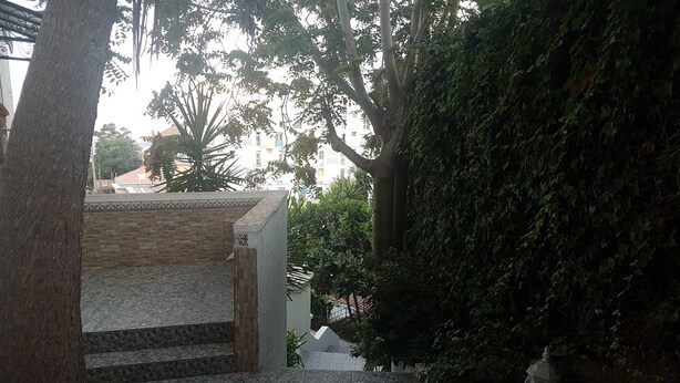 A narrow pathway leading to a building with a tiled entrance and a stone wall.