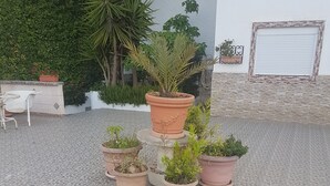 A courtyard with a tiled floor, several potted plants, a white chair, and a building with a window and a door in the background.