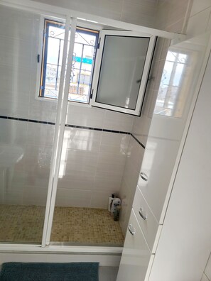 Shower, hair dryer, towels