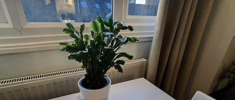 內部