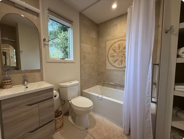 Hair dryer, towels, soap, toilet paper