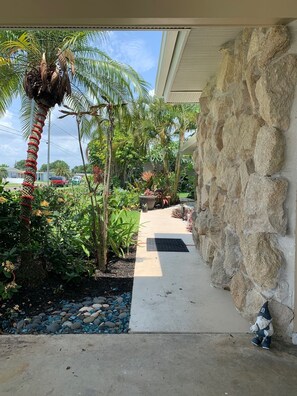 A pathway leading through a tropical garden with a palm tree and various plants. - Cozy home on a fresh water canal 2-bedroom house in with high-speed WiFi (Port Charlotte)