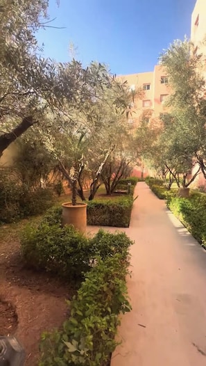 Jardines del alojamiento